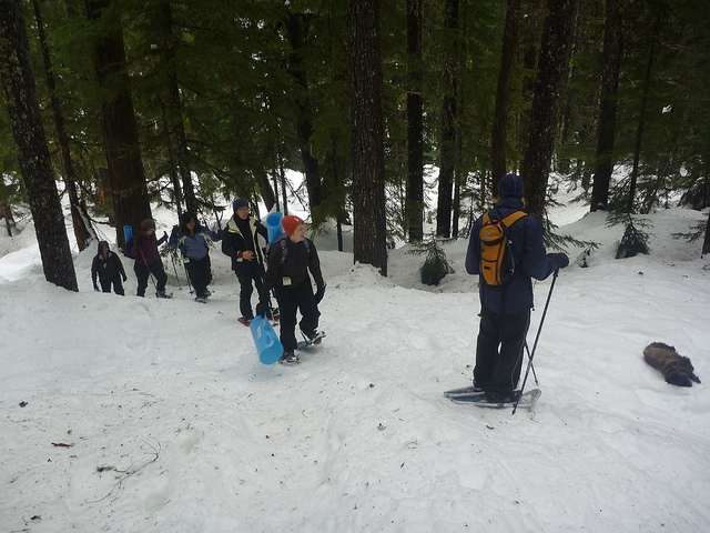 Grupo de excursionistas con raquetas de nieve